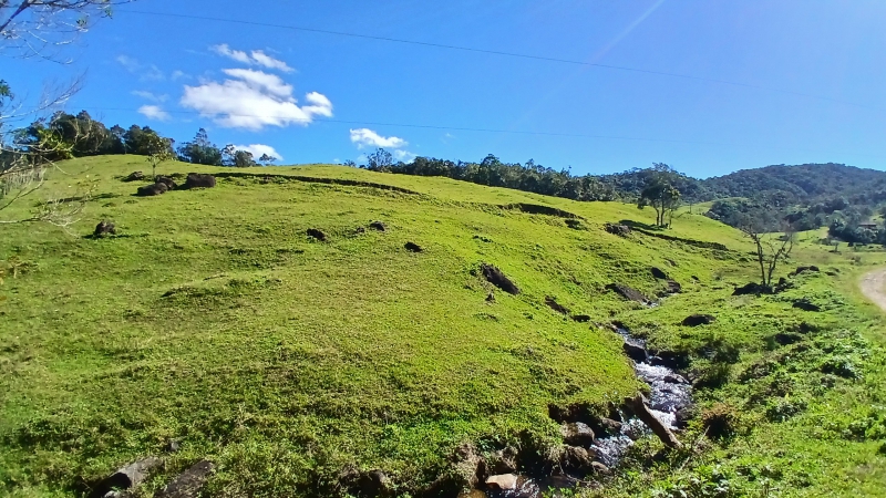 Chácara/Sítio para Venda  São Pedro de Alcântara